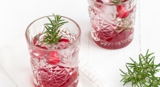 Cranberry Gin Tonic