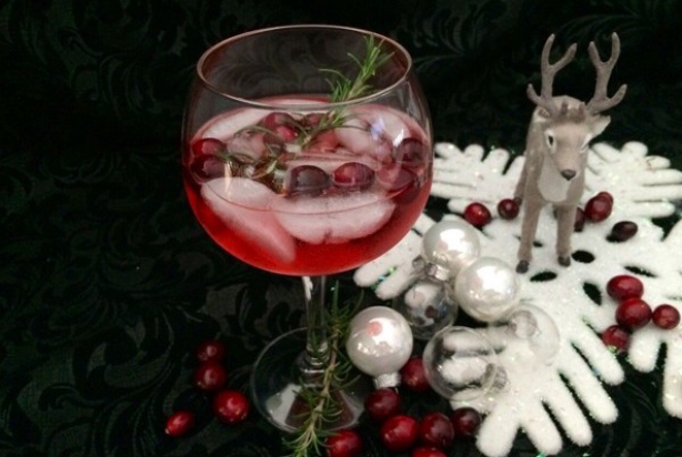 Rudolph’s Gin Tonic